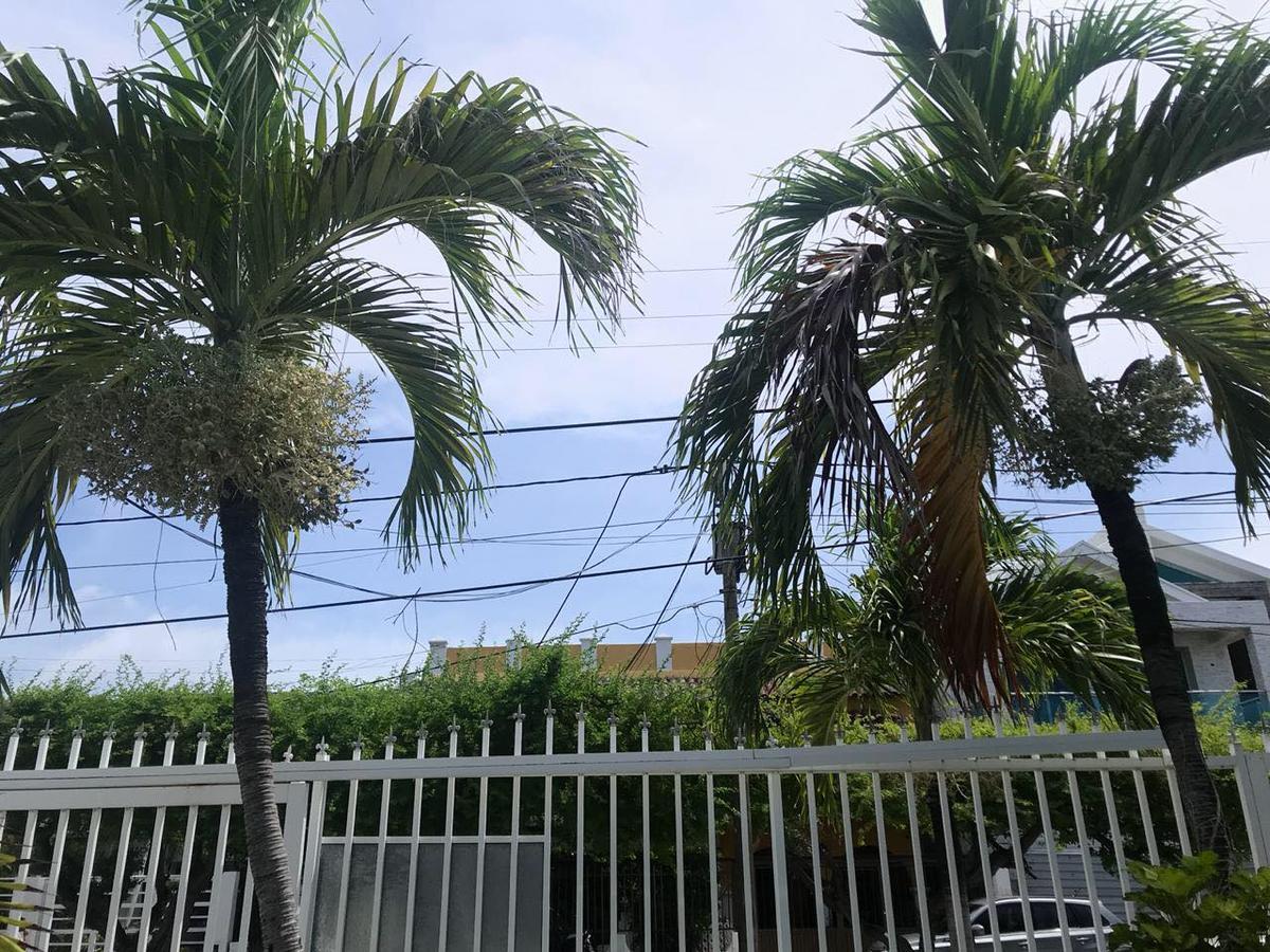 热带梦想2*圣安德烈